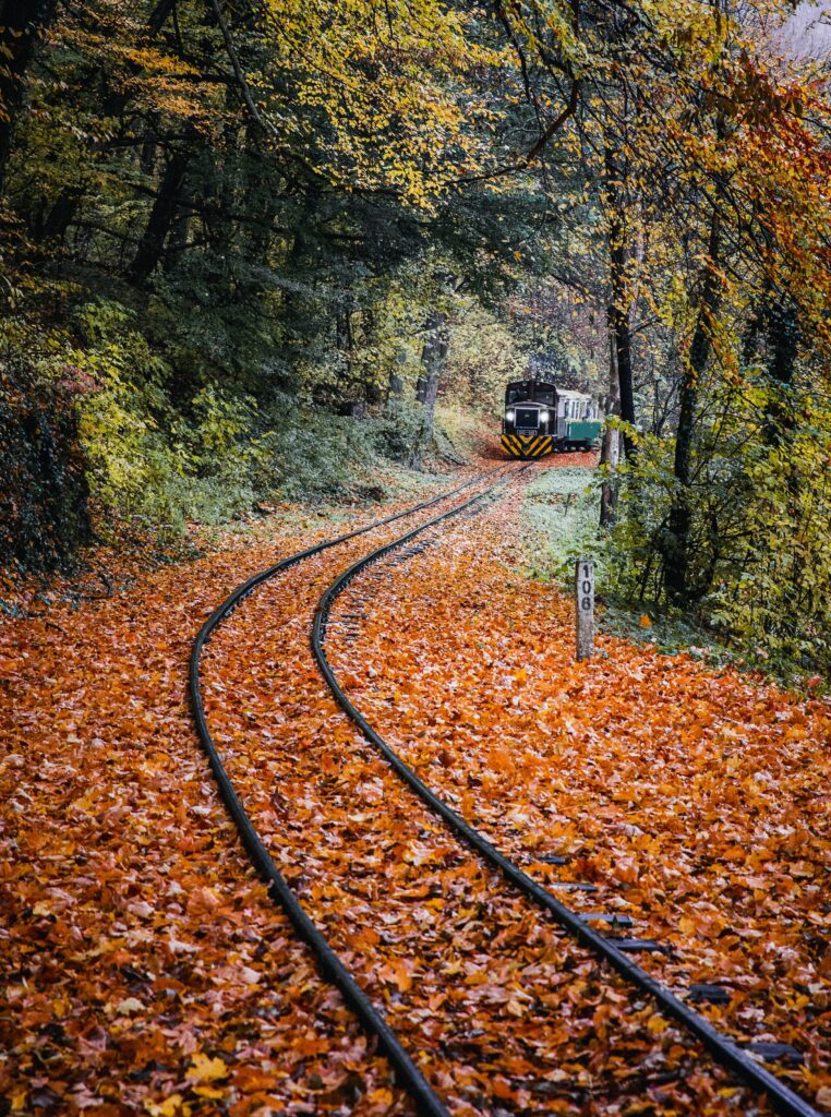 Train traversant une foret. Ecologie